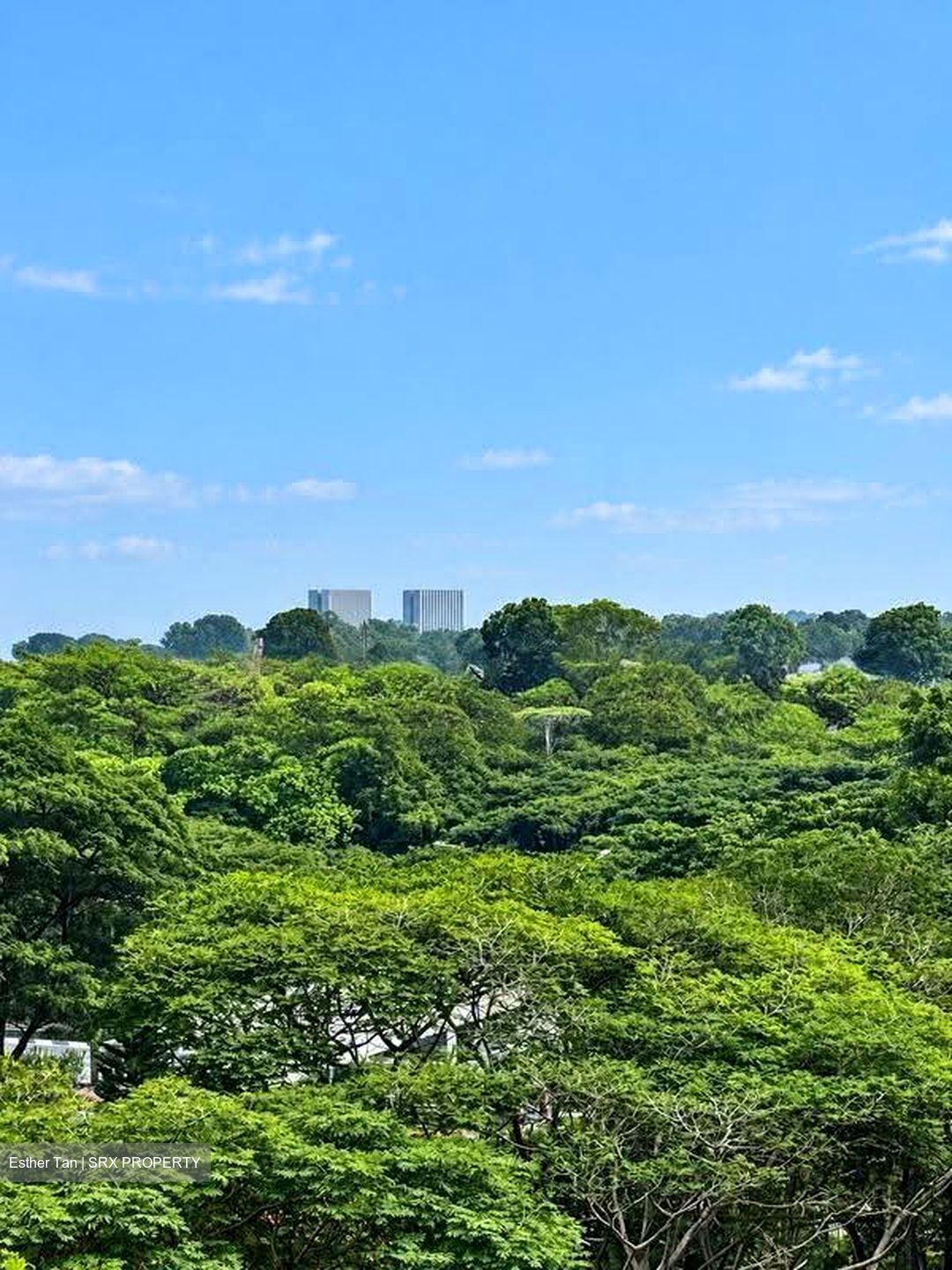 Sanctuary Green (D15), Condominium #628901551